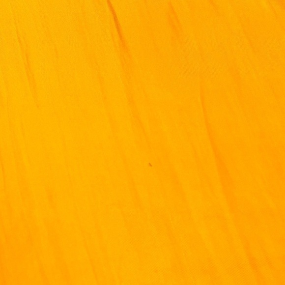 Joie Wide Leg Silky Pants. Tangerine. NWT Small - Picture 9 of 9